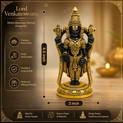Royal Finish Tirupati Balaji Murti